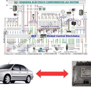 Esquema eléctrico de Fiat Brava - ECU de Inyección IAW 49F