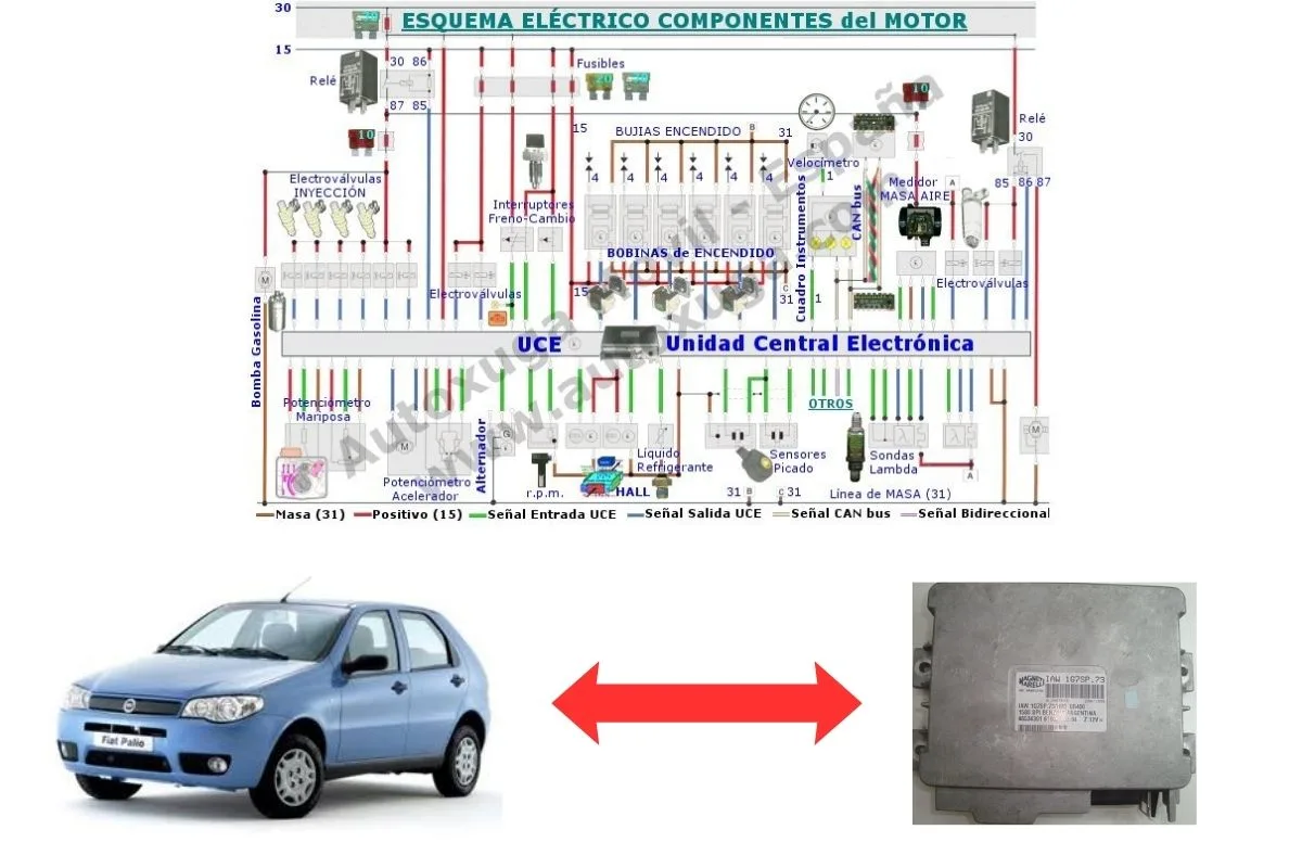 Esquema eléctrico de Fiat Palio - ECU de Inyección IAW 1G7SP.73