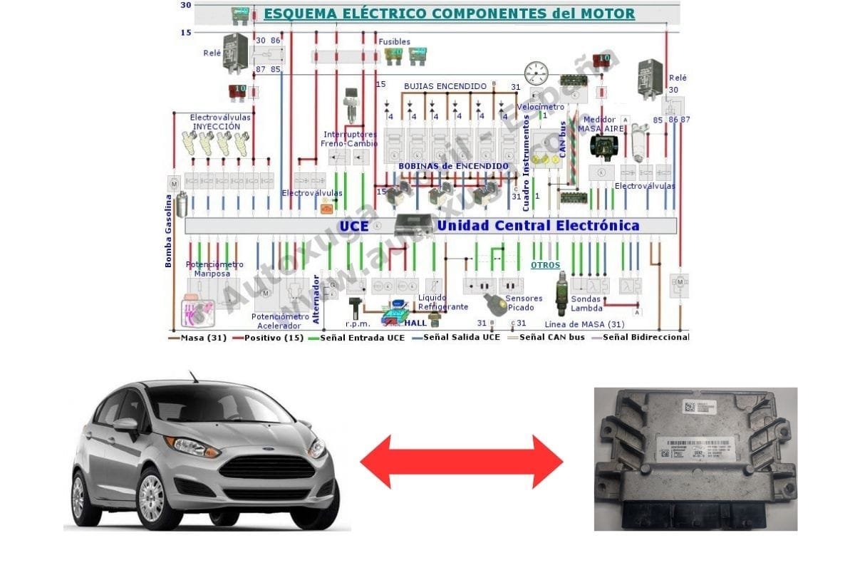 Esquema eléctrico de Ford Fiesta Kinetic - ECU de Inyección EMS221
