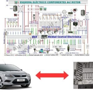 Esquema eléctrico de Ford Focus 2 - ECU de Inyección SID 206