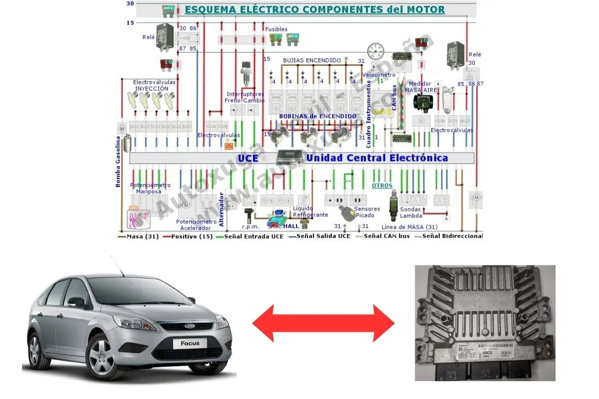 Esquema eléctrico de Ford Focus 2 - ECU de Inyección SID 206