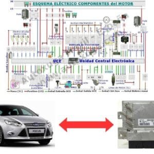 Esquema eléctrico de Ford Focus 3 - ECU de Inyección EMS 2204