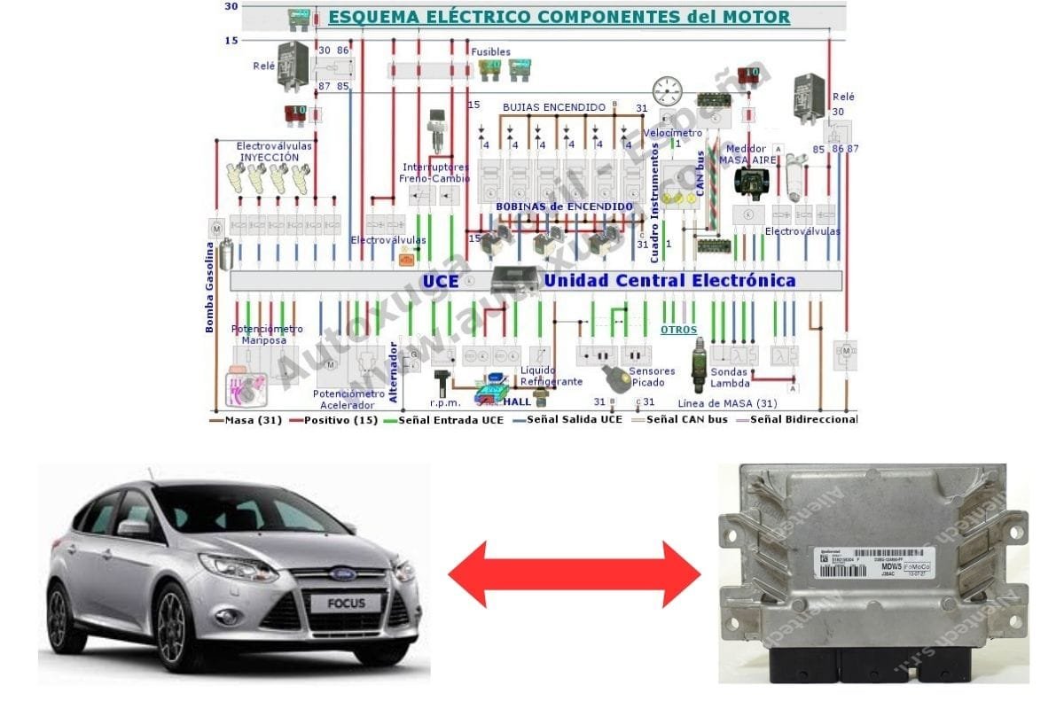 Esquema eléctrico de Ford Focus 3 - ECU de Inyección EMS 2204