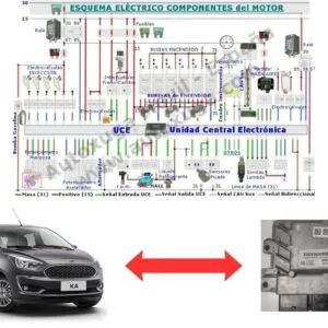 Esquema eléctrico de Ford Ka - ECU de Inyección EMS 2302