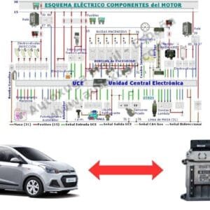 Esquema eléctrico de Hyundai I10 - ECU de Inyección M 7.9.8