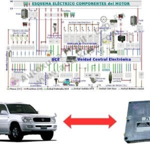 Esquema eléctrico de Toyota Land Cruiser - ECU de Inyección 1FZ-FE