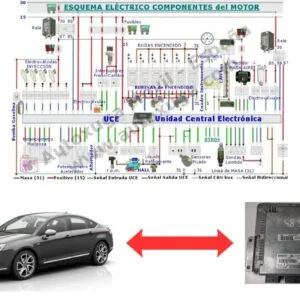Esquema eléctrico de Citroen C5 - ECU de Inyección EDC15C2