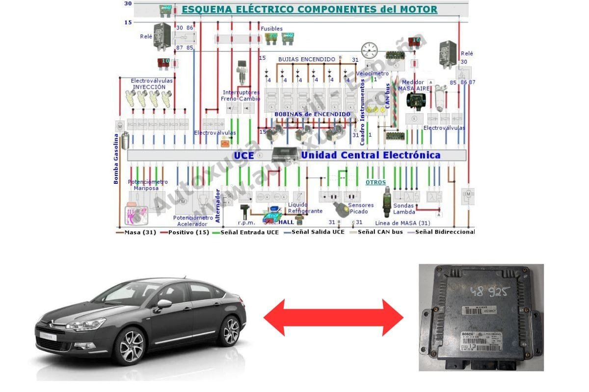 Esquema eléctrico de Citroen C5 - ECU de Inyección EDC15C2