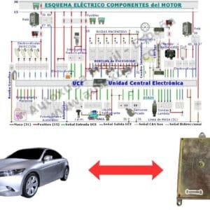 Esquema eléctrico de Honda Accord - ECU de Inyección 37820-PAB-K00 1025-100052 RJ