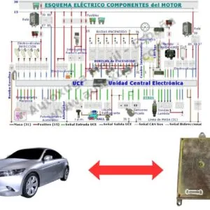 Esquema eléctrico de Honda Accord - ECU de Inyección 37820-PAB-K00 1025-100052 RJ