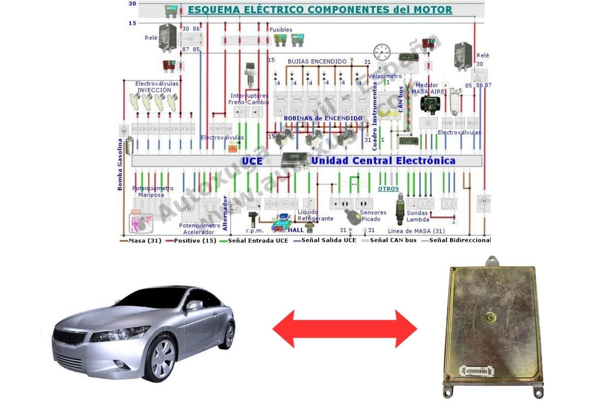 Esquema eléctrico de Honda Accord - ECU de Inyección 37820-PAB-K00 1025-100052 RJ